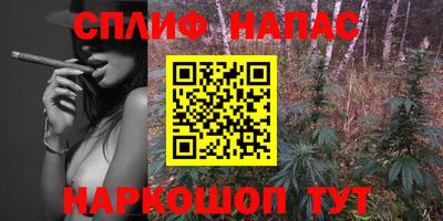 СК Кингисепп
