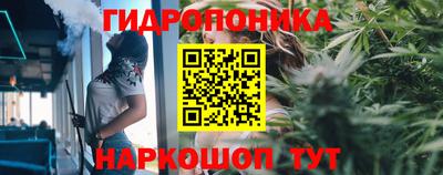 jwh Кимры