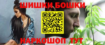 СК Кингисепп