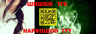 СК Кингисепп