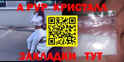 СК Кингисепп