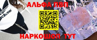СК Кингисепп