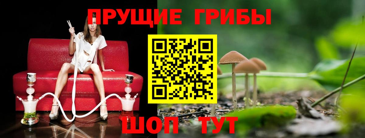 Псилоцибиновые грибы GOLDEN TEACHER  Галлюциногенные грибы MAGIC MUSHROOMS  купить  цена  Коряжма  Вход с VPN 