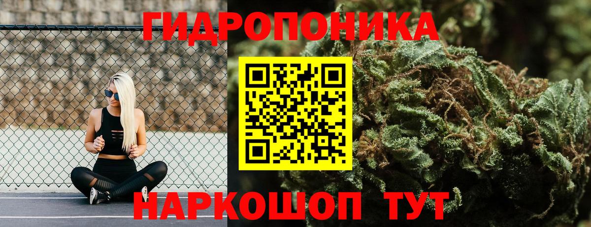 Бошки марихуана Bruce Banner  Шишки марихуана планчик  Коряжма  Вход с VPN 